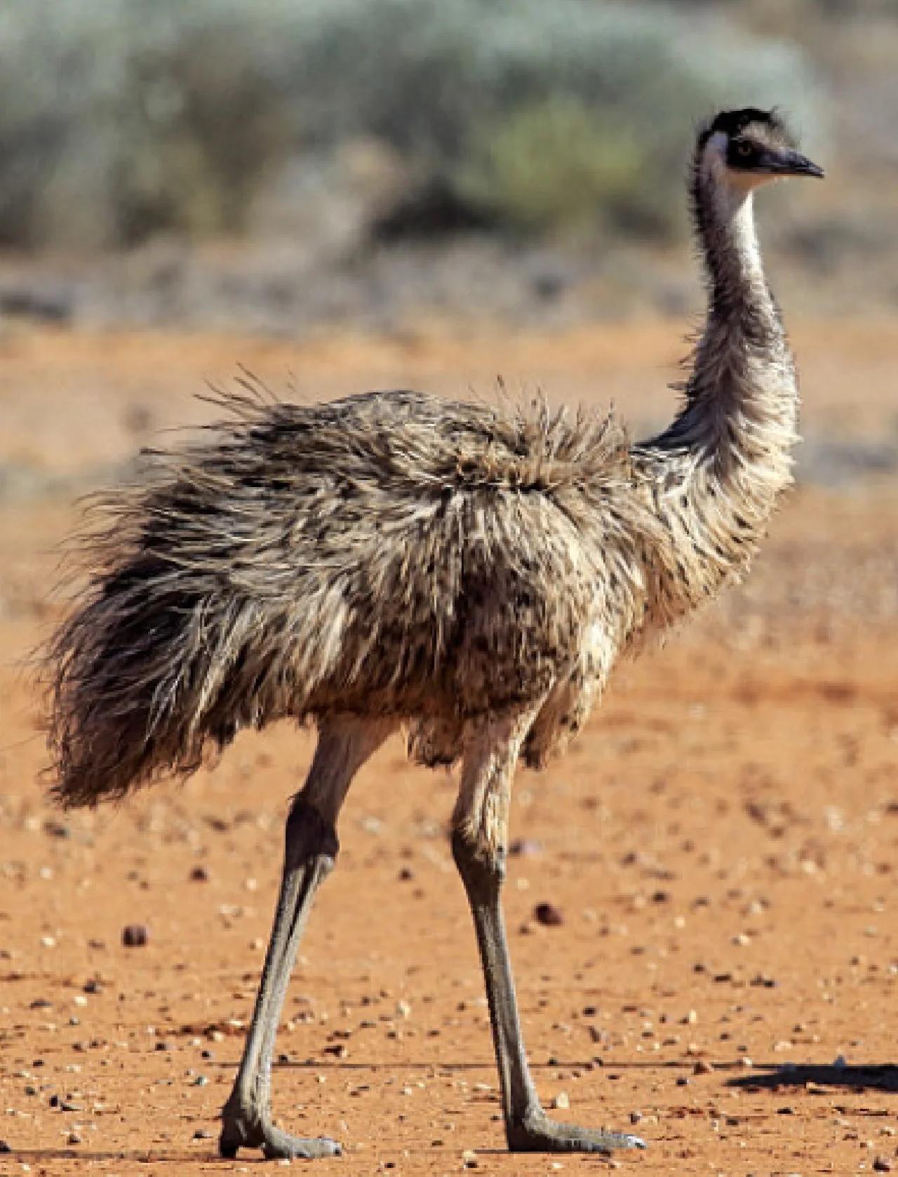 橜?-爱游戏官网