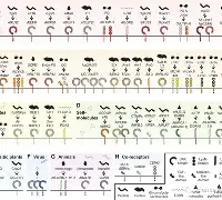 烀>艑轥怭礼)v?袑-爱游戏